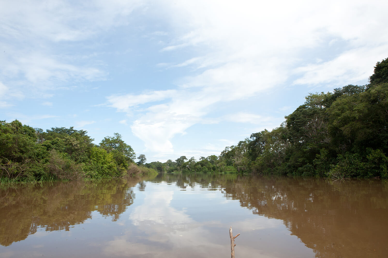 AMAZONAS 16 rio galeria_MG_4161.jpg